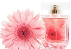 �ʺ�����Ů������ˮ �ʺ�����Ů������ˮ����Щ