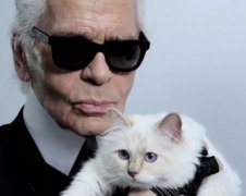 ζϷү-Karl Lagerfeld