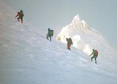 ��ҵ�����Ľ��� ��ҵ��������ʾ