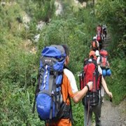 ͽ����ʲô���� ͽ����������