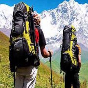 ɽ������ע��ʲô ɽ������ע������