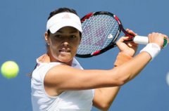 2015�����������򹫿��� ���Ԥ��������ʹ