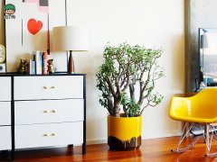 �������廨��֮���������Ʒλ����