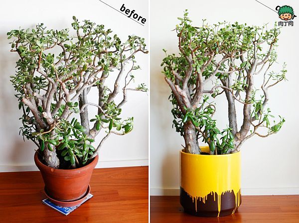 自制立体花盆之油漆改造有品位花盆