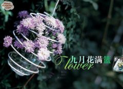 �Ͼ�����ƿС����ˮƿ���촴�������