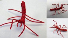 �ɵ����ֹ�֮�ɵ��������ɰ�������ڼ�