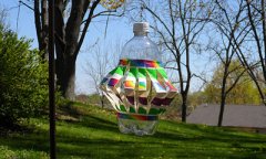 ������������ ��ɫ��������ƿ�������̳�