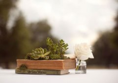 �ҾӾ������ ��ɫ����ҾӾ�������ȫ