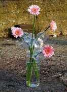 ��Ȫˮƿ�������ô���������ϻ�ƿ