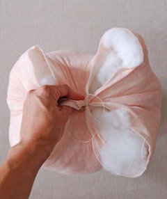 ݮֹ̳