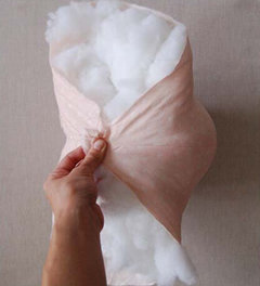 ݮֹ̳