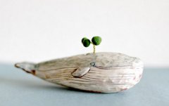 ɭϵ�����ֹ����� С���µ�ɭϵ����