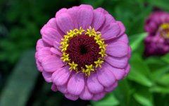 �ݻ����ղ���ô�� ����ֺð��ղ�