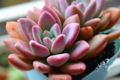 �������������ô�� ����ֺð�������