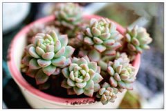 �����ӳְ�����ô�� ����ֺ��ӳְ���