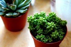 ��������׺��ô�� ����׺����ֲ����