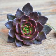 ����ֲ���������ô�� ����ֺú�����