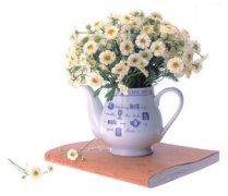 �廨�ľ������ ��ʱ���ڴ���������ͥ�廨