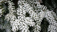 ���컨��������ע������ ���컨�������Ľ���