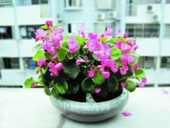 �ﺣ�ĵ���ֳ���� ����ֺ��ﺣ��