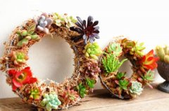 ����ֲ���ˮ̦���� �����ˮ̦�ֶ���