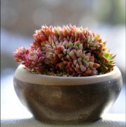 ���������ļ��㽨�� ��ι������