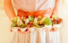 ������Ķ������� ����Ҳ���Ժ�����