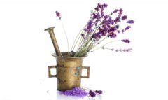 ޹�²ݵ���ֳ���� ����ֺ�޹�²�