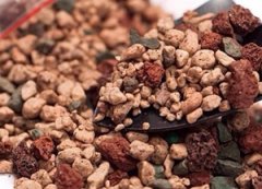 ����ֲ��������ô�� �������ʺ϶������