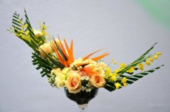 �廨���ĵ�ѡ�� ���ĵĴ��似��