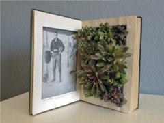 ˽�˶��ƶ����鼮 ���������Լ��Ķ����鼮