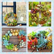 �������һ�������Ķ��⻨�� ���⻨��DIY�̳�