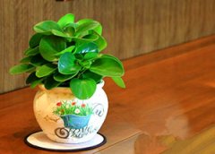 �����̵���ֳ���� ����ֺö�����