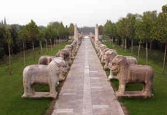 �μ������ʲô��˼ �μ�������ʲô����