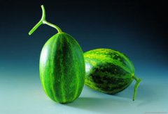 �μ��ù�����ô���� �μ��ùϻ᲻�᲻��