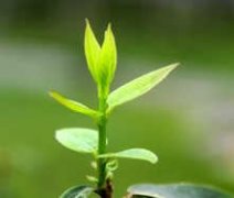 ������Ⱦ���� ����������Ⱦ��ũҵΣ��