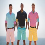 ʲô��polo�� polo�����֪ʶ