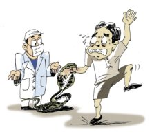 被蛇咬了怎么办 被蛇咬后怎么办