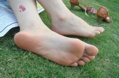 �ų���ʲôԭ�� �ų���ԭ������Щ