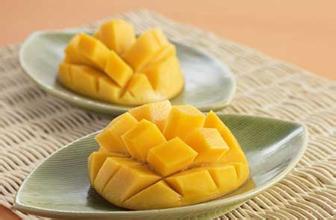 â���ϻ��� ��â�������ϻ���