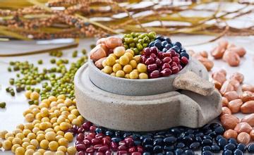 �����ʲô ��������������