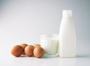 乳清蛋白