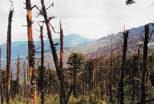 ���������ʲôΣ�� �����������˺�