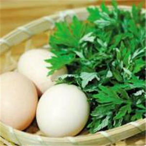 艾叶的功效与作用
