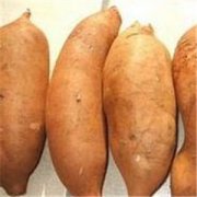 ѩ�����Ĺ�Ч������ ѩ�����Ĺ�Ч����������Щ