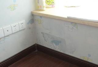 ǽ�ڷ�ù��ô�� ǽ�ڳ�ù��ô��