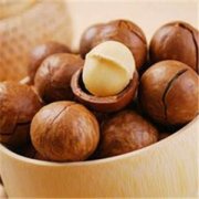 �����Ĺ��Ĺ�Ч������ �����Ĺ���ʲô��Ч����