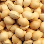 �׹��Ĺ�Ч������ �׹��Ĺ�Ч����������Щ