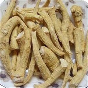 西洋参的功效与作用