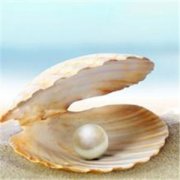 ����۵Ĺ�Ч������ ����۵Ĺ�Ч����������Щ